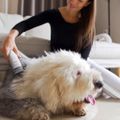 TESLA PetCare Station TQ500 Pro - sada pro péči o srst domácích mazlíčků