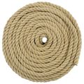 vidaXL Lano na čln 14 mm 50 m Prírodná