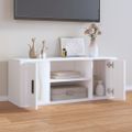 vidaXL TV skrinka biela 100x35x40 cm spracované drevo
