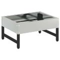 vidaXL Krmítko pre vtáky Strieborná 80 x 28 x 13.5 cm Pozinkovaná oceľ