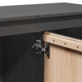 vidaXL TV skrinka sivá 103x36,5x52 cm masívna borovica