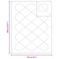 vidaXL 2-v-1 Prikrývka 200 x 155 x 10 cm Zima Polyester Biela