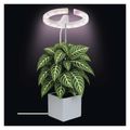 Rastúca lampa EMOS Z7902 Grow 8W