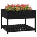 vidaXL Kvetináč s policou čierny 111,5x111,5x81 cm masívna borovica