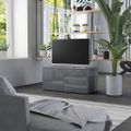 vidaXL TV skrinka, lesklá sivá 80x34x36 cm, drevotrieska