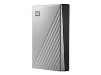 Pevný disk - šifrovaný - 4 TB - externí (přenosný) - USB 3.0 (USB-C konektor) - AES 256 bitů - stříbrná