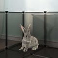 vidaXL Klietka pre malé zvieratá čierna 144x74x46,5 cm PP a oceľ