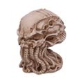 Lebka Cthulhu (20 cm)
