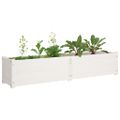 vidaXL Vyvýšené záhradné záhony 2 ks biele 150x31x31 cm borovicový masív