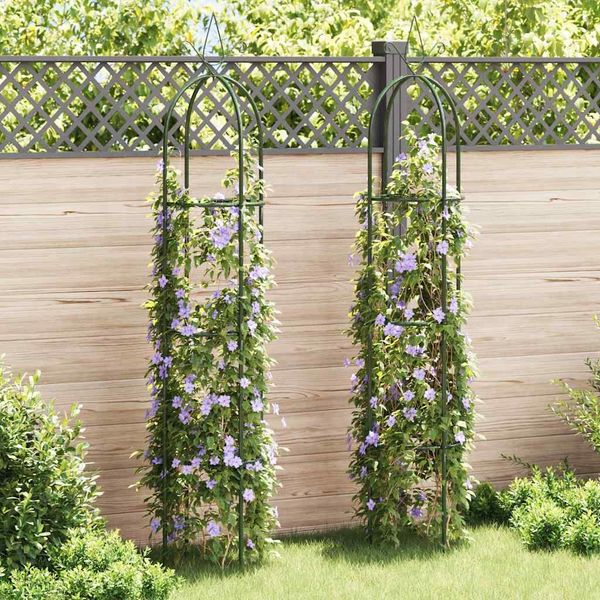 vidaXL Pergola na popínavé rastliny, 2 ks