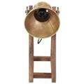 vidaXL Stolová lampa 25 W starožitná mosadzná 30x17x40 cm E27