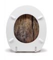 Schütte SOLID WOOD | MDF, bez Soft Close