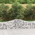 vidaXL Oblúkový gabionový kôš 200x50x40/60 cm pozinkované železo