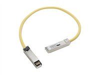 Patch kábel - SFP (M) do SFP (M) - 50 cm - pre Catalyst 3560, 3560E, 3560G, 3560V2, 3560X