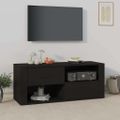 vidaXL TV skrinka čierna 100x35x40 cm spracované drevo