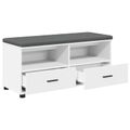 vidaXL Predsieňová lavica Biely 100 x 38 x 46 cm