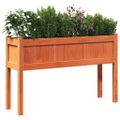 vidaXL Záhr. kvetináč s nohami voskový hnedý 110x31x70cm mas. borovica