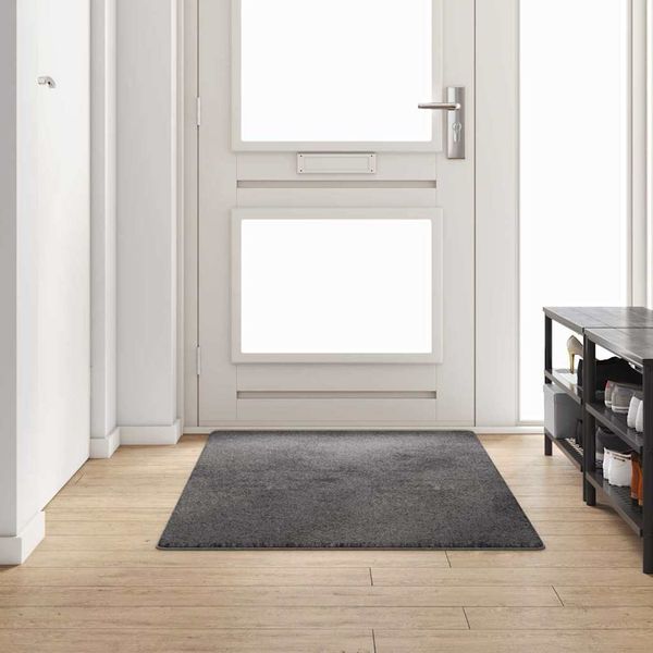 vidaXL Behúň koberec Sivá 100 x 200 cm 100% Polypropylén Tuft