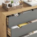 vidaXL Skrinka so zásuvkami OTTA, hnedo sivá 76,5x39,5x90 cm, borovica