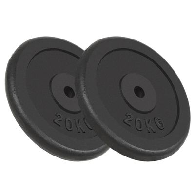 vidaXL Závažia na činky 2 ks, 2x20 kg, liatina