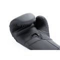 Boxerské rukavice DBX BUSHIDO B-2v15B 14 oz