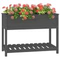vidaXL Kvetináč s policou sivý 111,5x54x81 cm masívna borovica