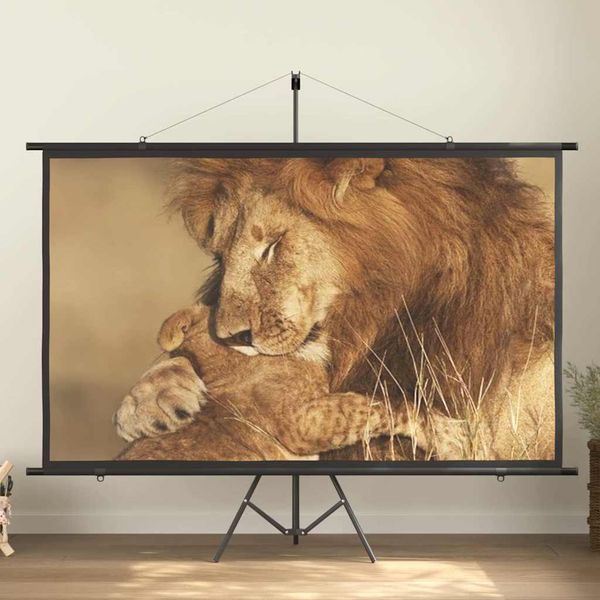 vidaXL Projekčné plátno so statívom 100" 16:9