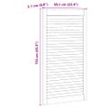 vidaXL Skříňové dvere Prírodná 110 x 2,1 x 59,5 cm Borovicový masív
