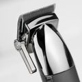 BaByliss E996E, Zastrihávač vlasov a brady