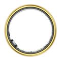 Inteligentný prsteň Colmi R06 18,1 mm 8 (zlatý)