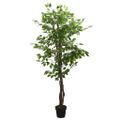 vidaXL Umelý fikusový strom 378 listov 80 cm zelený
