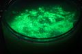 DIY Slime Sada na výrobu slizu Glow in the dark