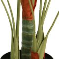 vidaXL Umelá palma s 3 kmeňmi zelená 80 cm PP