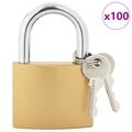 vidaXL Zámok na U s kľúčmi Mosadzná 6 x 2 x 9,1 cm Železo
