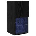 vidaXL Nástenný TV kabinet 30,5 x 30 x 60 cm Čierny dub