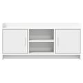 vidaXL TV skrinka 102 x 33 x 47 cm Biela Kompozitné drevo