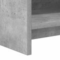 vidaXL TV skrinka 100 x 33 x 47 cm Betónovo sivá Kompozitné drevo