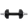vidaXL 19-dielna sada činiek dumbbell 15 kg, liatina