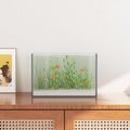 vidaXL Akvárium s úložiskom Priehľadná 30 x 20 x 20 cm Sklo