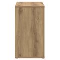 vidaXL Servírovacia skriňa Remeselný dub 80 x 30 x 53 cm