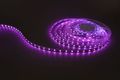 Modee LED pás DC24V 14,4W/m 60LED/m 8mm IP20 RGB (360 lm/m) B5 (ML-LS24V72W60L/MRGBB5)