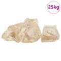 vidaXL Záhradné kamene šampanského 12 cm Sklo