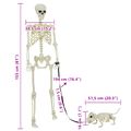 vidaXL Halloween Dekorácia Kostra 2 ks Biela 155 x 38.5 cm