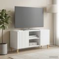 vidaXL TV skrinka Biela 102 x 34,5 x 50 cm Kompozitné drevo