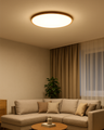 LED stropní 3CCT svítidlo TR-84S - 40W 4300lm ø50x2,7cm Trixline