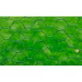 vidaXL Drôtené pletivo s vrstvou PVC 25x1 m, zelené