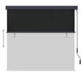 vidaXL Vonkajšia zatemňovacia roleta antracitová 170x250 cm