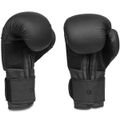 Boxerské rukavice DBX BUSHIDO B-2v12 16 oz