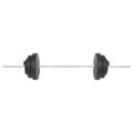 vidaXL Súprava činiek barbell 30 kg