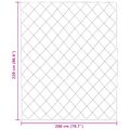 vidaXL Zimný prehoz 200 x 220 cm 450 gsm Mikrovlákno (100% polyester)